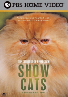 The Standard of Perfection: Show Cats Trailer