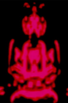 The Star Curtain Tantra Trailer