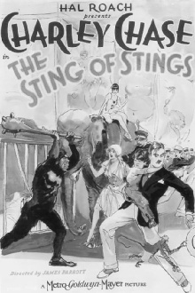The Sting of Stings Trailer