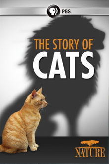 The Story of Cats Trailer
