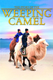 The Story of the Weeping Camel Trailer