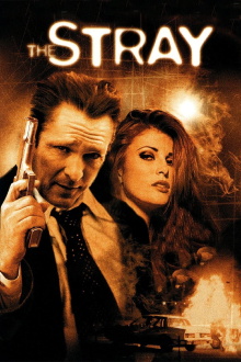 The Stray Trailer