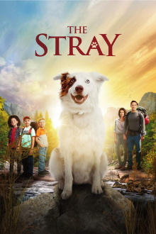 The Stray Trailer