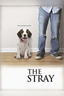 The Stray Trailer