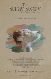 The Stray Story: A Dogumentary Trailer