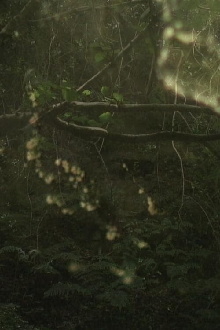 The Subterraneans Trailer