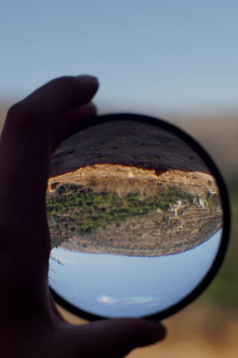The Sun and the Looking Glass – for one easily forgets but the tree remembers Trailer