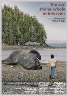 The Sun Shone Whole at Intervals Trailer