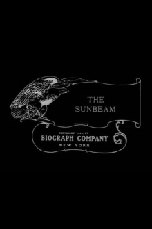 The Sunbeam Trailer
