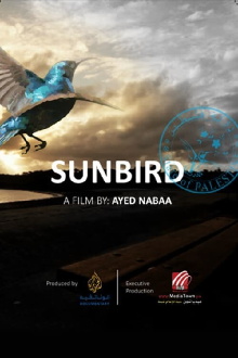The Sunbird Trailer