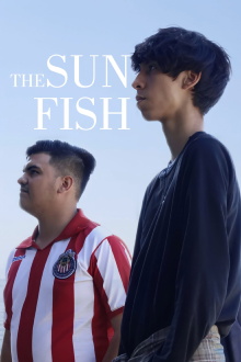 The Sunfish Trailer