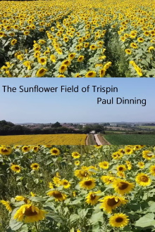 The Sunflower Field of Trispen Trailer