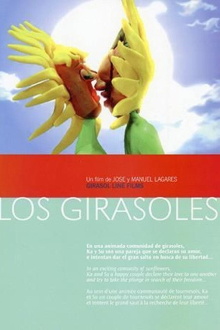 The Sunflowers Trailer