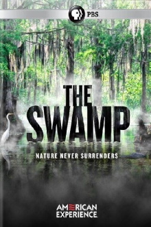 The Swamp Trailer