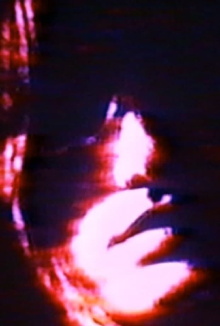 The Swan Trailer