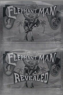 The Terrible Elephant Man Revealed Trailer