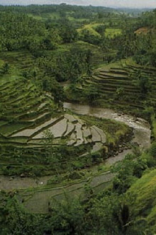 The Three Worlds of Bali Trailer