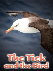 The Tick and the Bird Trailer