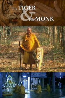 The Tiger and the Monk Trailer