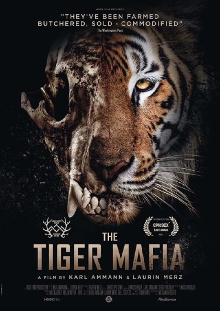The Tiger Mafia Trailer