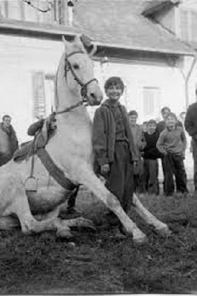 The Time of Horses Trailer