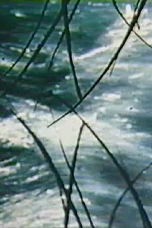 The Time Slit Trailer