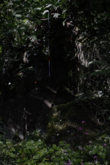 The Toby Tatum Guide to Grottoes & Groves Trailer