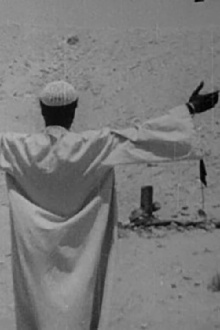 The Tomb Trailer