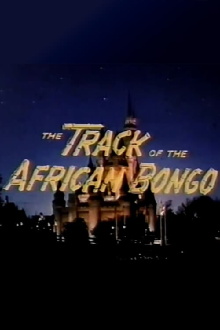 The Track of the African Bongo Trailer