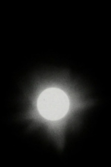 The Transit of Venus Trailer