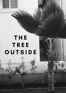 The Tree Outside Trailer