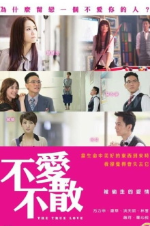 The True Love Trailer