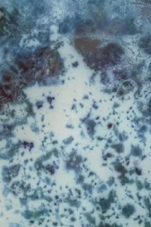 The Turning Centre of a Still World Trailer