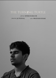 The Turning Turtle Trailer