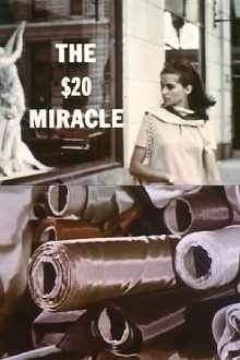 The Twenty Dollar Miracle Trailer