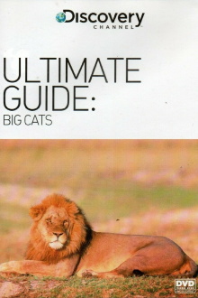 The Ultimate Guide: Big Cats Trailer
