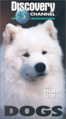 The Ultimate Guide - Dogs Trailer