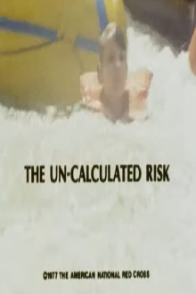 The Un-Calculated Risk Trailer