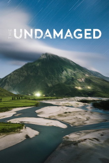 The Undamaged Trailer