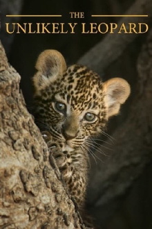 The Unlikely Leopard Trailer