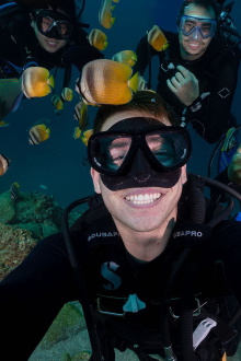 The Urchin Diver Trailer