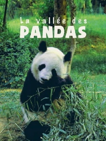 The Valley of the Pandas Trailer