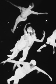 The Very Eye of Night Trailer