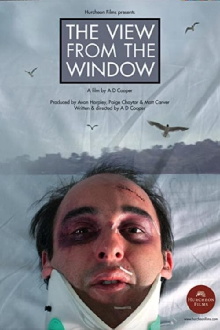 The View From The Window Trailer