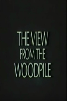 The View from the Woodpile Trailer