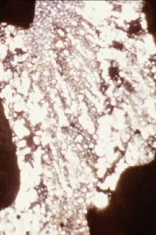 The Visible and Invisible of a Body Under Tension Trailer