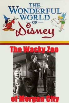The Wacky Zoo of Morgan City Trailer