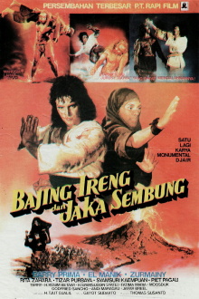 The Warrior and the Ninja Trailer