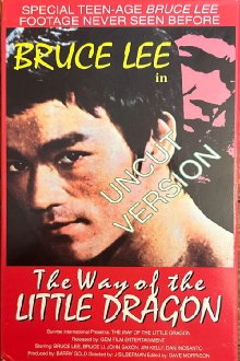 The Way of the Little Dragon Trailer