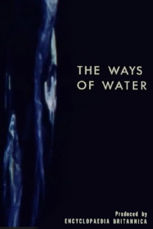 The Ways of Water Trailer
